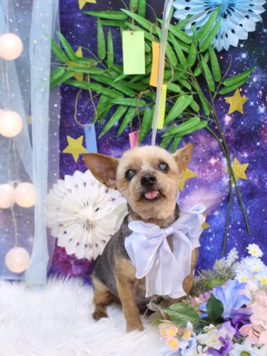 20250710マロニーちゃん